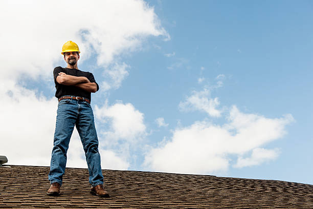 Best Roof Gutter Cleaning  in Frazier Park, CA